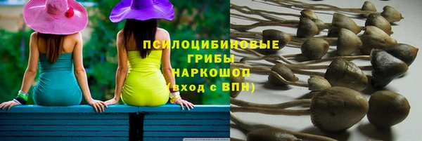 меф Тавда