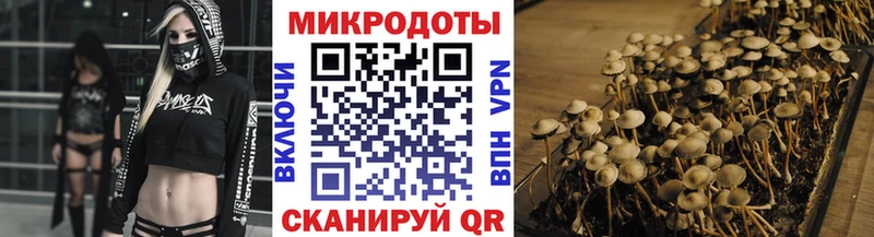 Псилоцибиновые грибы Magic Shrooms  магазин продажи наркотиков  Арамиль 